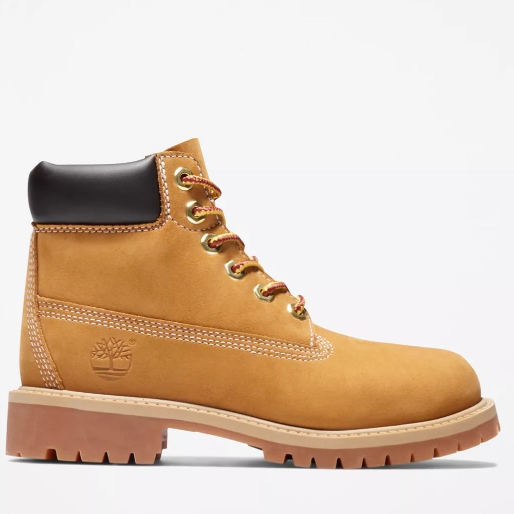 Youth Timberland 6-inch Waterproof Boots